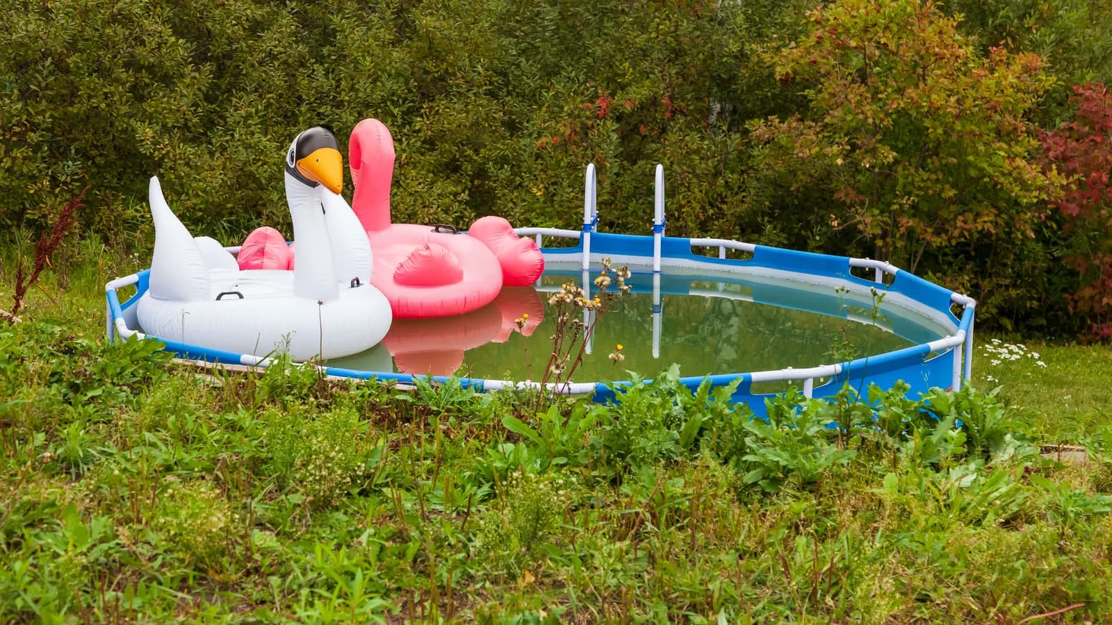 Petite piscine autoportante dans un jardin