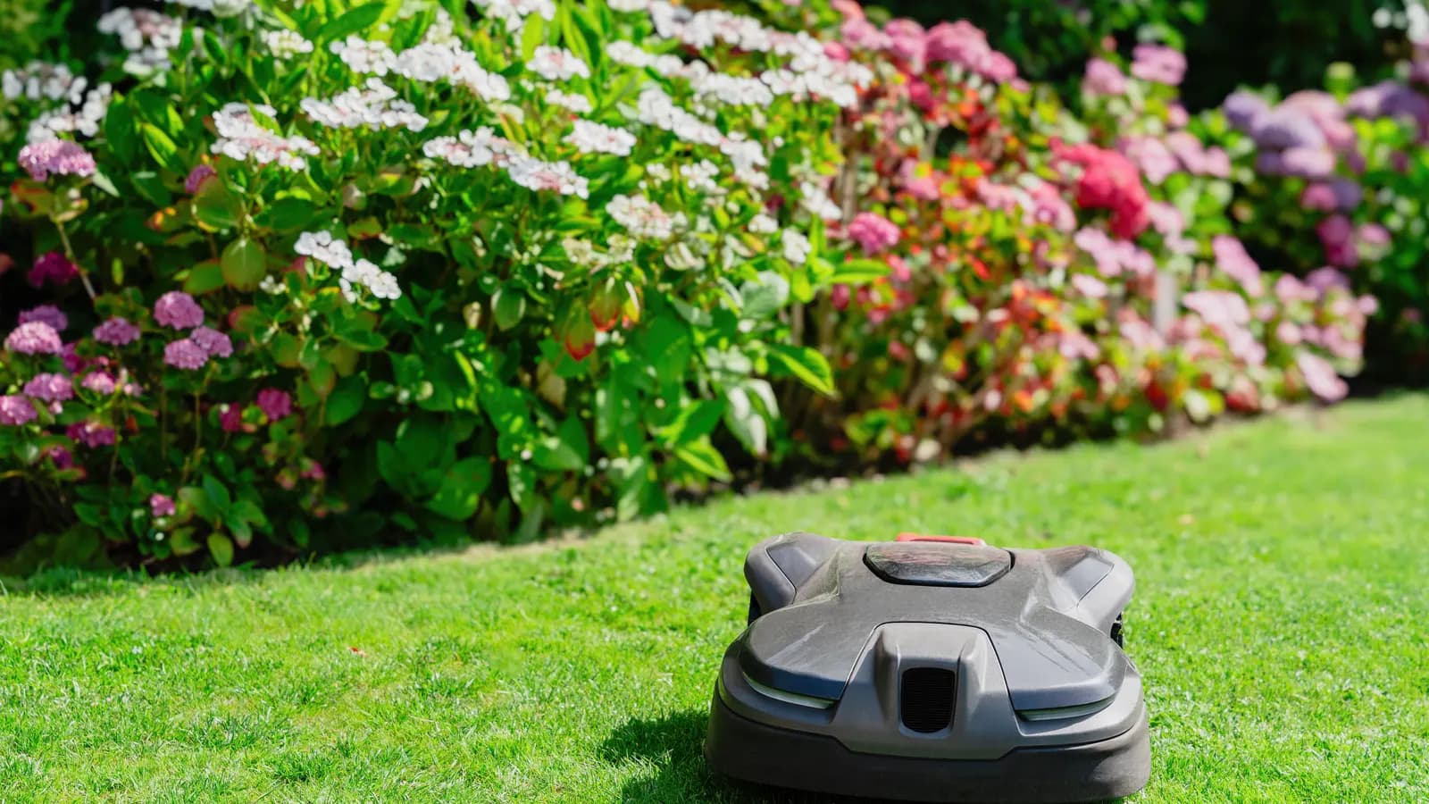 Robot tondeuse à navigation LiDAR dans un jardin arboré