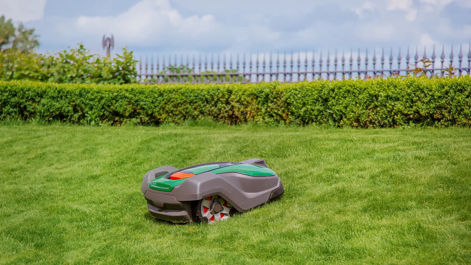 Robot tondeuse vu de profil le long d'une bordure de pelouse