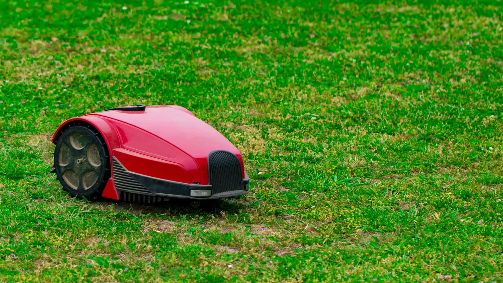 Robot tondeuse à vision sur une petite pelouse