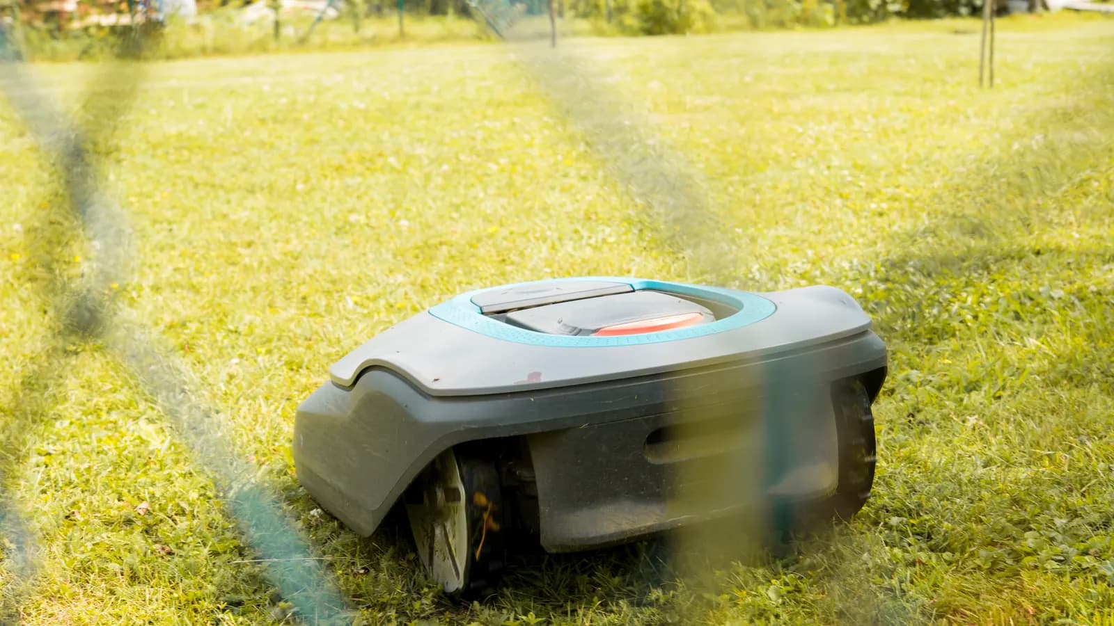 Robot tondeuse travaillant sur une pelouse