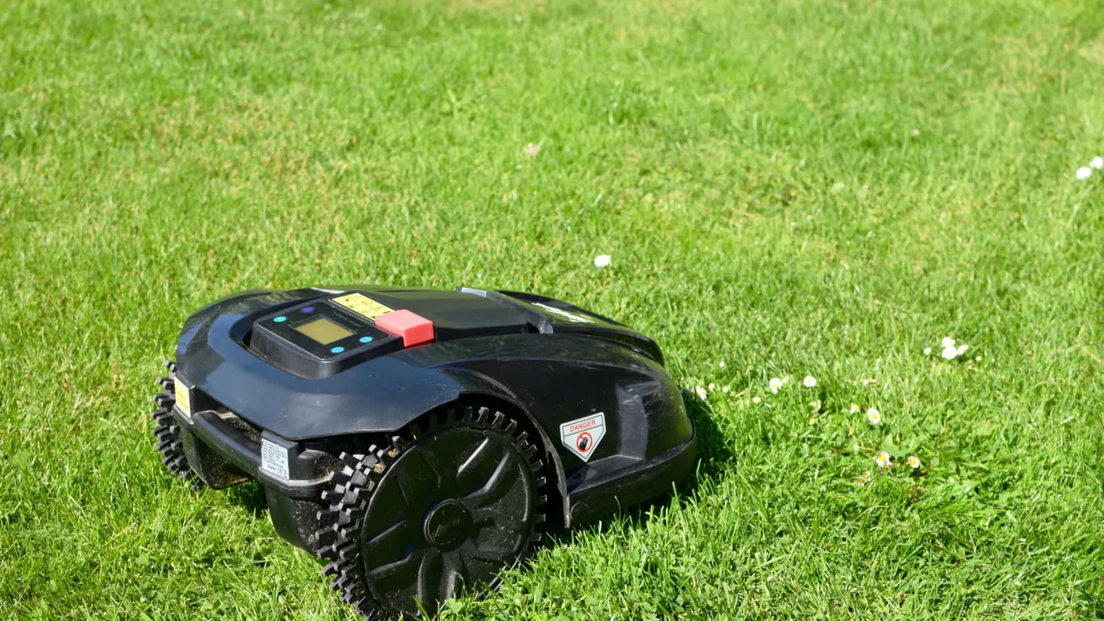 Robot tondeuse noir tondant une pelouse de jardin