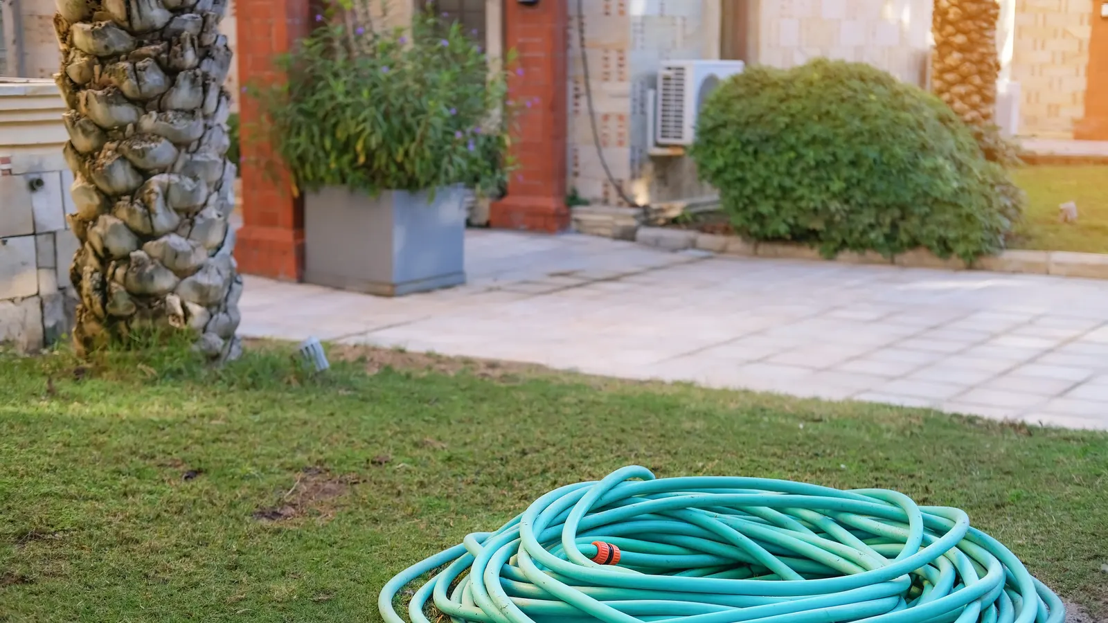 Long tuyau d’arrosage dans un grand jardin