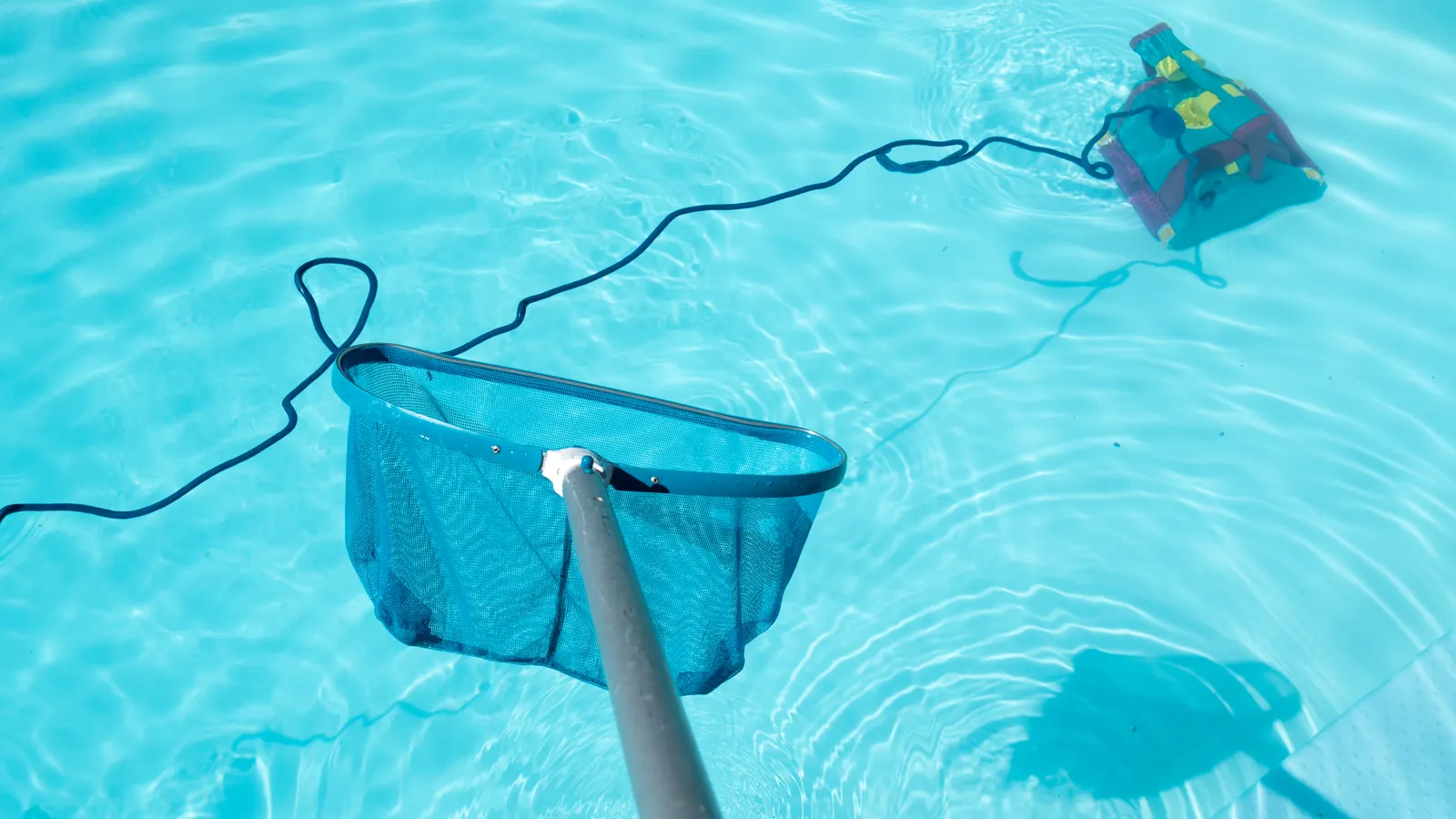 Robot nettoyant les débris à la surface d'une piscine