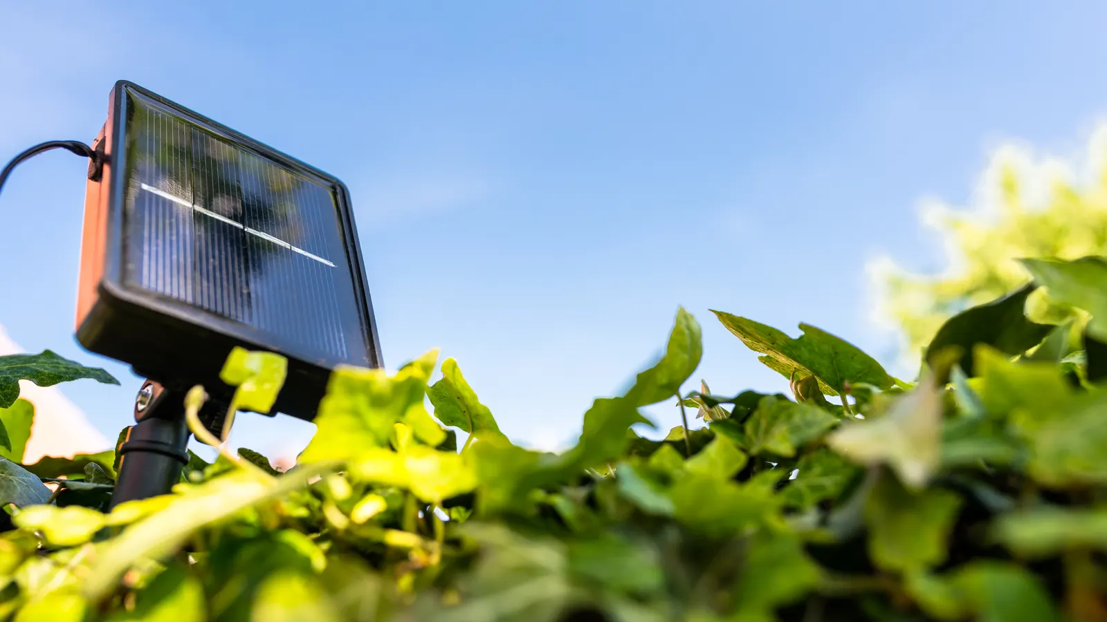 Kit d'arrosage solaire installé sur un balcon en plein soleil