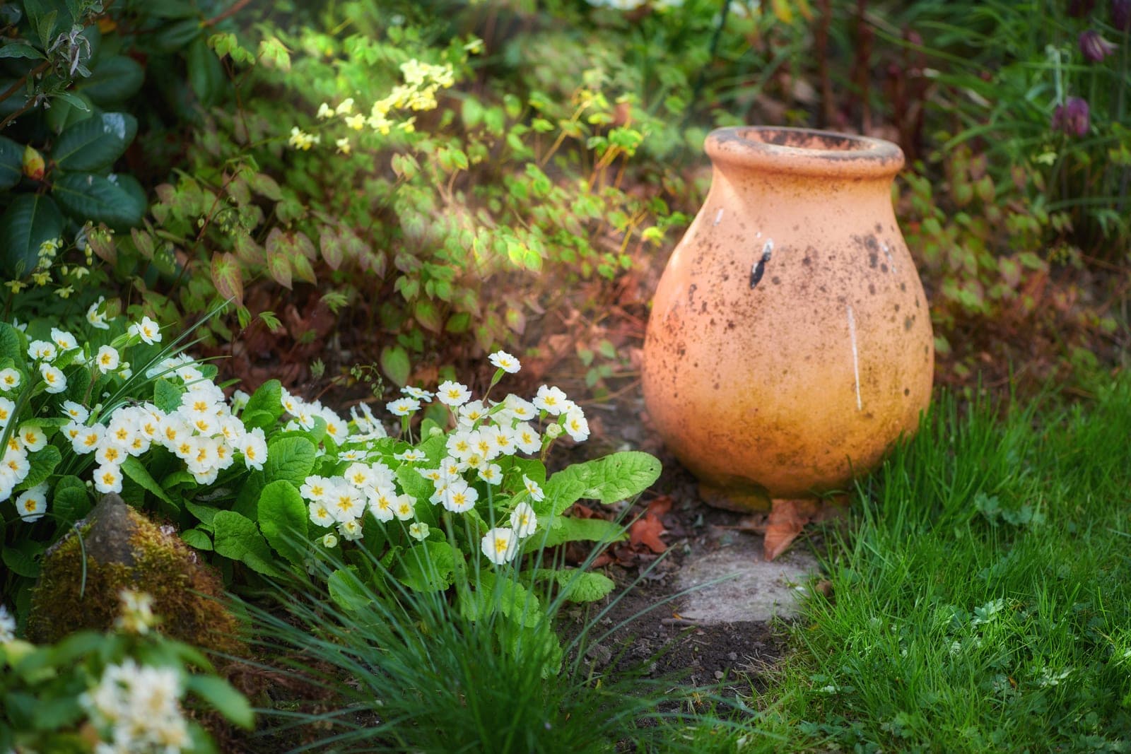 Pot en terre cuite posé dans un jardin