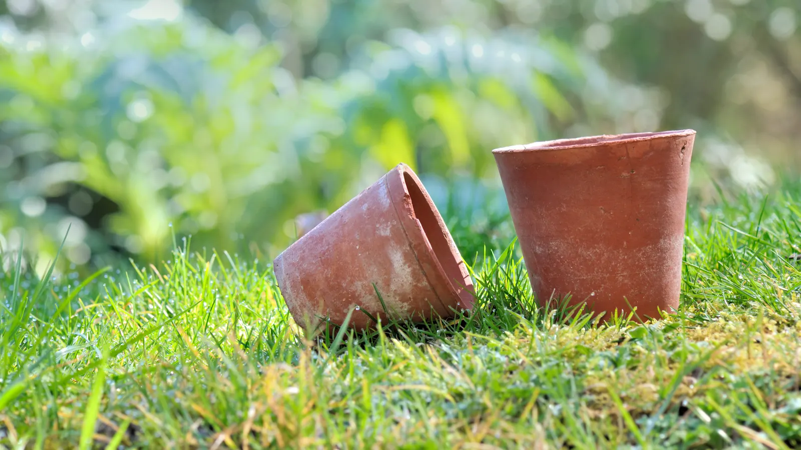 Oya en terre cuite CHSEEO arrosant une plante en pot avec une bouteille