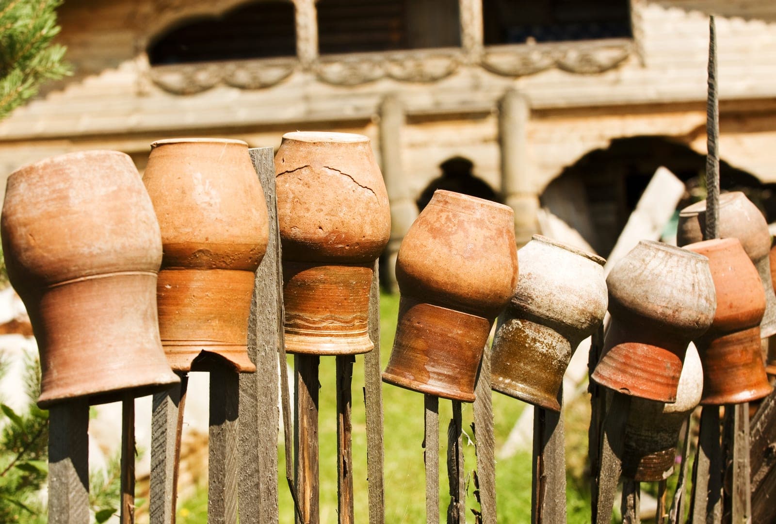 Pots en terre cuite