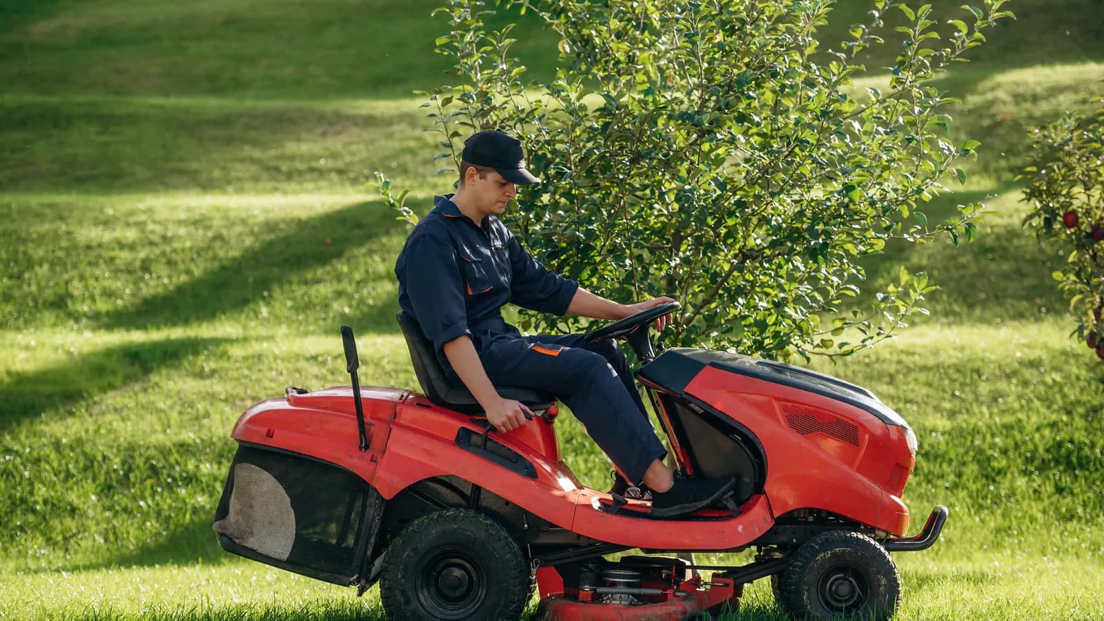 Tracteur tondeuse conduit par un jardinier dans un jardin