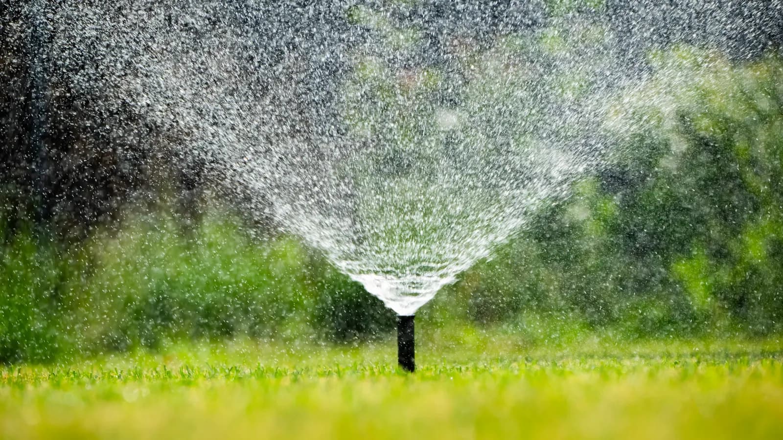 Tête d'arrosage rotative 360° d'un kit goutte-à-goutte haut débit dans un jardin