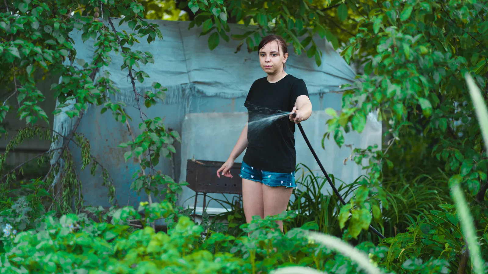 Tuyau extensible après utilisation dans un jardin