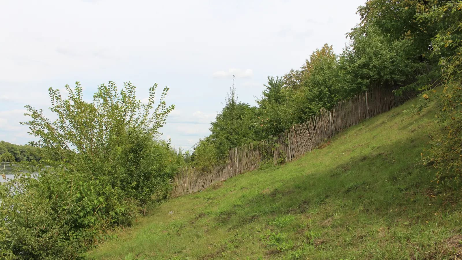 Terrain en pente douce à tondre dans un jardin clôturé