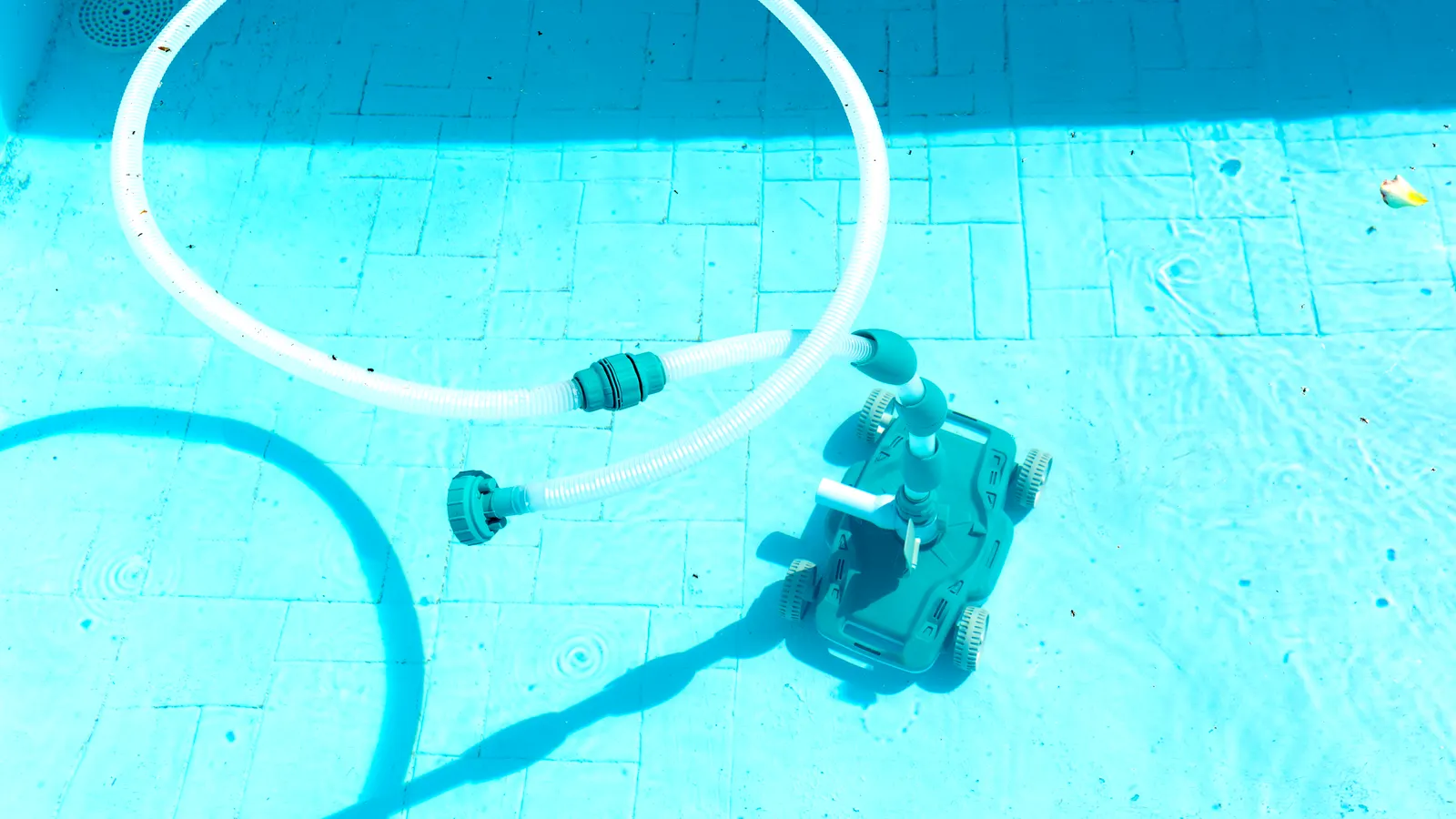 Robot piscine nettoyant une paroi et la ligne d'eau