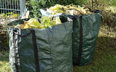 Meilleur sac de jardin pour déchets vert Septembre 2023: Test et Comparatif