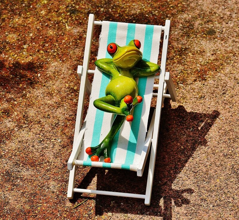 grenouille sur un transat jardin