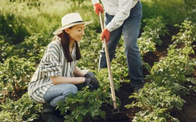 Meilleure Houe de Jardin Septembre 2023: Test et Comparatif