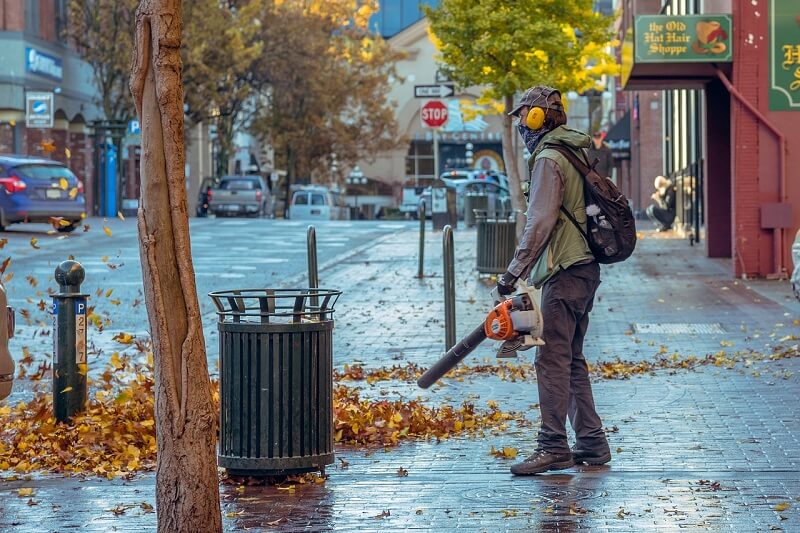 les meilleurs Souffleurs de feuilles