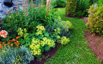 3 astuces efficaces pour se débarrasser naturellement des nuisibles du jardin