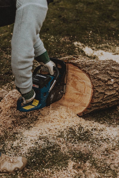 Crop workman sawing wooden log